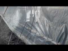 부식산칼륨/부산화나트륨 과립