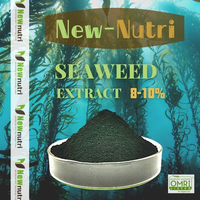 8% Alginic Acid Organic Soluble Seaweed Powder